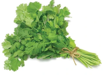 Dhonia Pata (Coriander Leaves)