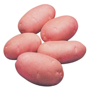 Lal Alu (Red Potato Cardinal) 1 kg