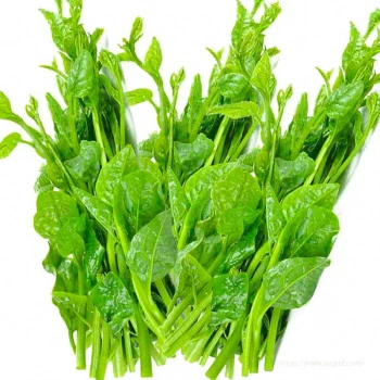 Pui Shak (Pui Spinach)