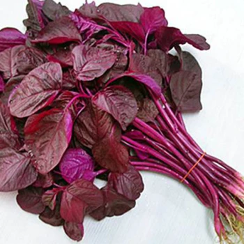 Lal Shak (Red Spinach)