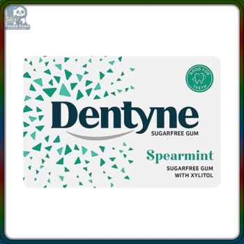 DENTYNE Gum Spearmint Sugar-Free 14g