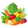 Fresh Vegetables