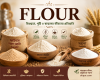 Flour