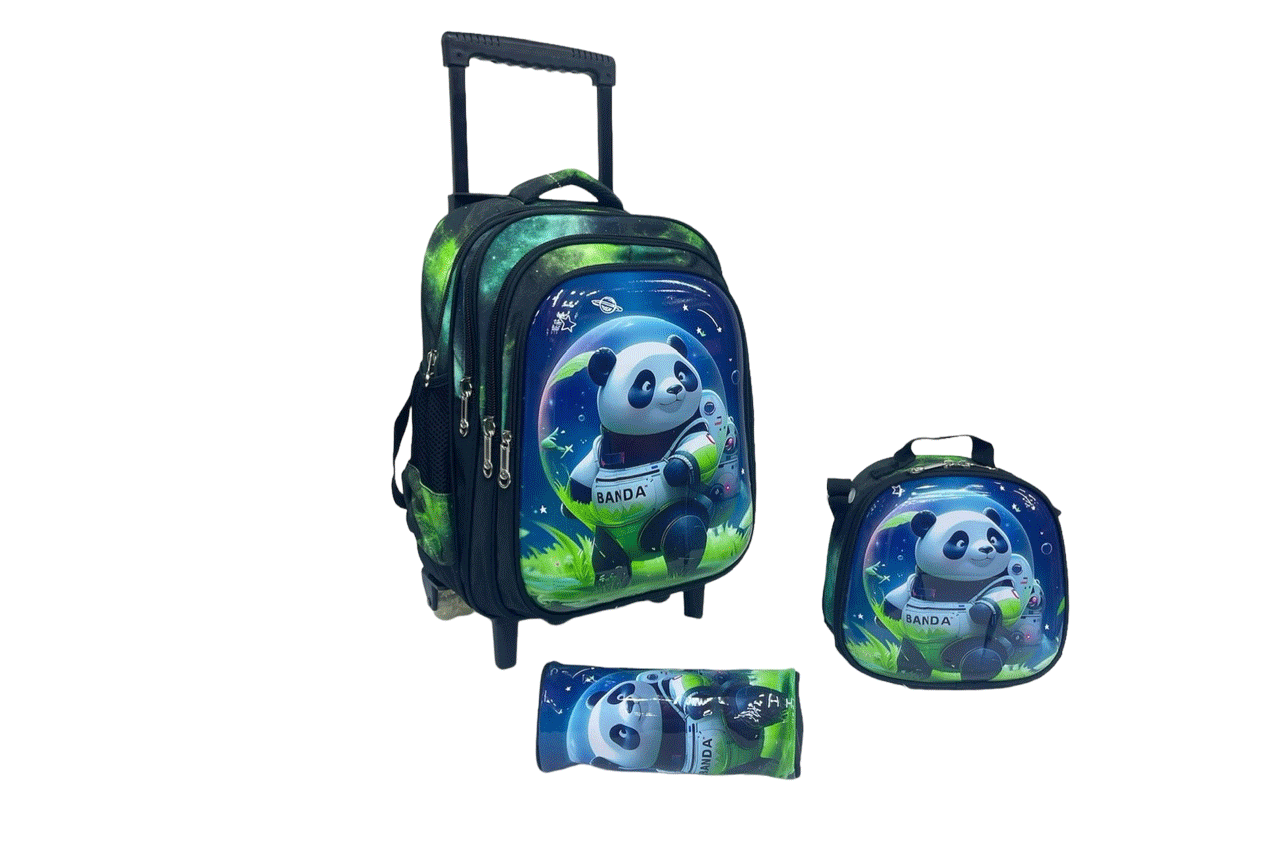 SCHOOL BAG