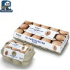 Fresh Eggs
