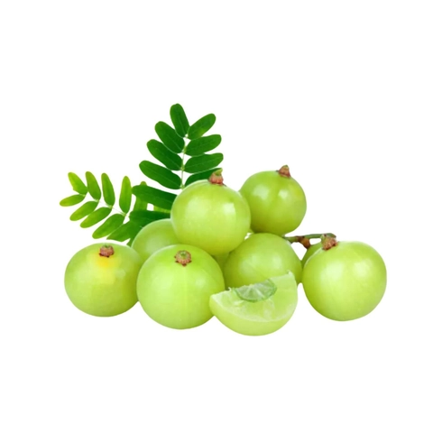 Product Includes
